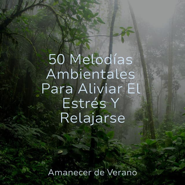 50 Melodías Ambientales Para Aliviar El Estrés Y Relajarse - Musica Romantica