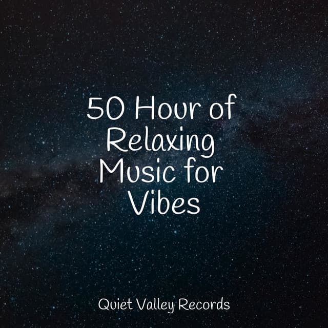 50 Hour of Relaxing Music for Vibes - Rain Sounds Sleep