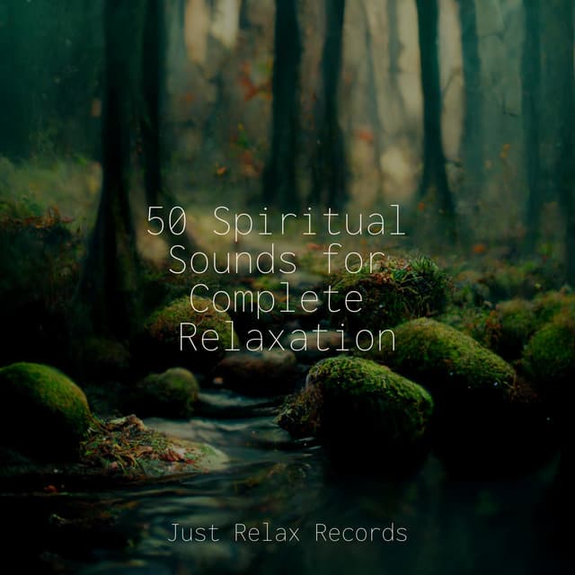 50 Spiritual Sounds for Complete Relaxation - Study Music & Sounds