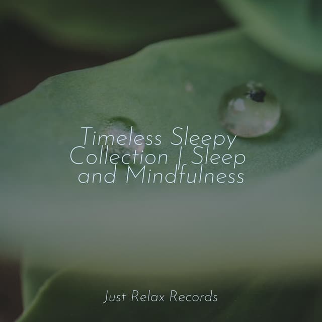Timeless Sleepy Collection | Sleep and Mindfulness - Música relaxante