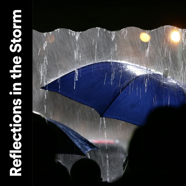 Reflections in the Storm - Thunderstorms