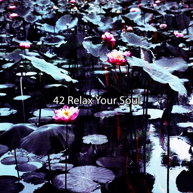 42 Relax Your Soul - Relaxation Study Music