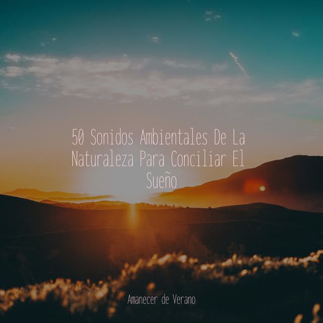 50 Sonidos Ambientales De La Naturaleza Para Conciliar El Sueño - kinderliedjes