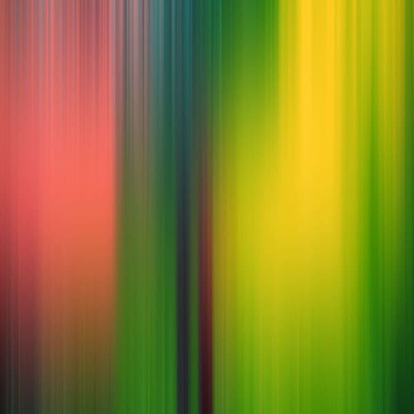 Backdrop for Spring Hideaways - Night Time Jazz Culture