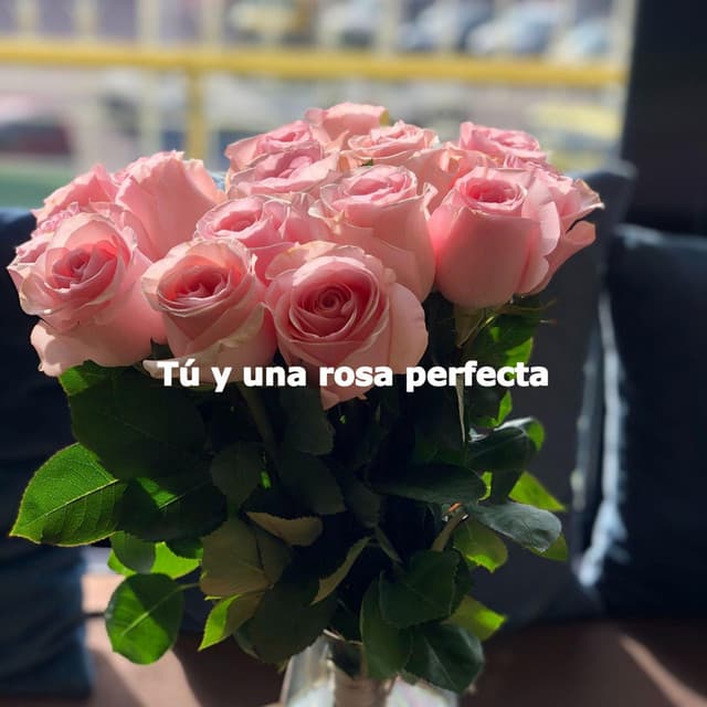 Tú y una rosa perfecta - Bebop Jazz Radio