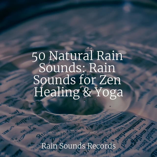 50 Natural Rain Sounds: Rain Sounds for Zen Healing & Yoga - Relaxing Mindfulness Meditation Relaxation Maestro