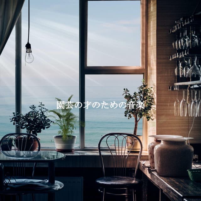 Cafe Hintergrundmusik International