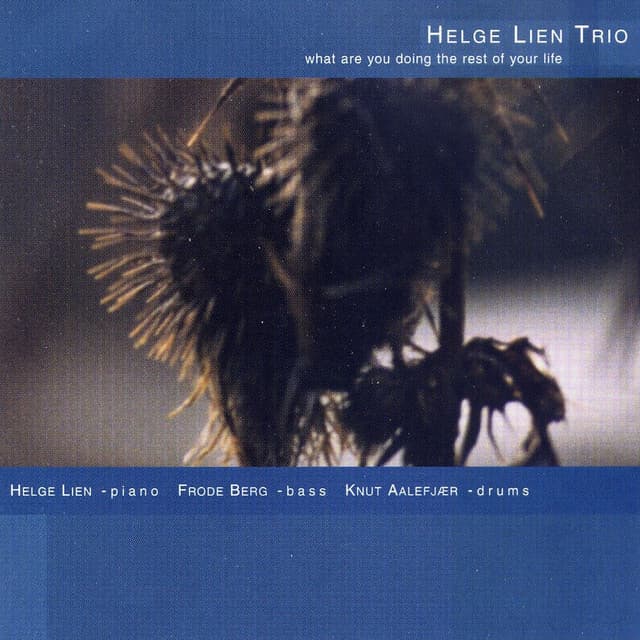 What Are You Doing the Rest of Your Life - Helge Lien Trio