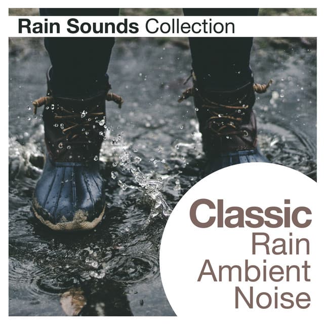 Classic Rain Ambient Noise - Rain Sounds Collection