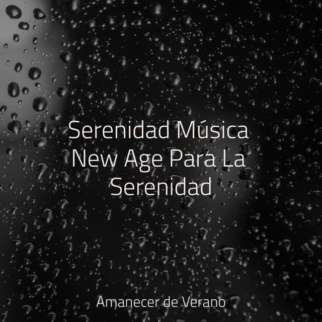 Serenidad Música New Age Para La Serenidad - Sonido de lluvia