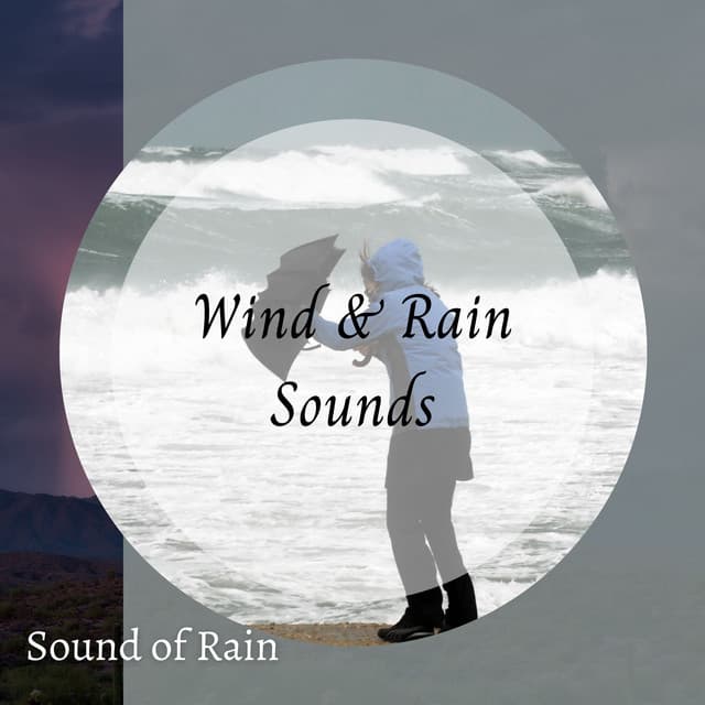 Sound of Rain: Wind & Rain Sounds - Relaxing Rain Sounds