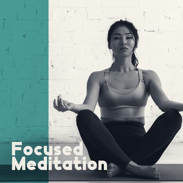 Focused Meditation: Deep Concentration, Listening to a Gong, Practice to Help Focus Your Attention - Deep Meditation Academy