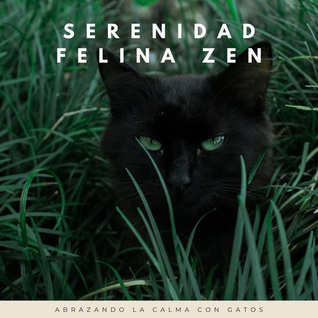 Serenidad Felina Zen: Abrazando La Calma Con Gatos - Canciones de gatos