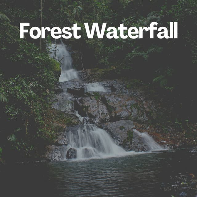 Forest Waterfall - Nature Label