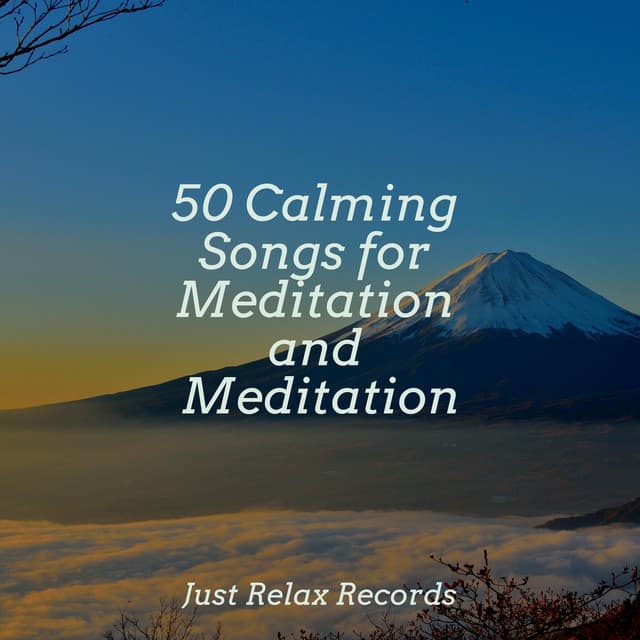 50 Calming Songs for Meditation and Meditation - Chillout Lounge