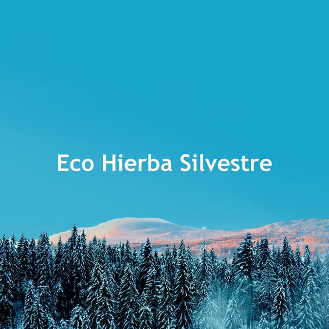 Eco Hierba Silvestre - Música de la Naturaleza