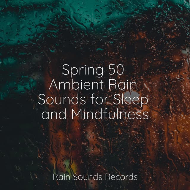 Spring 50 Ambient Rain Sounds for Sleep and Mindfulness - Canción de Cuna