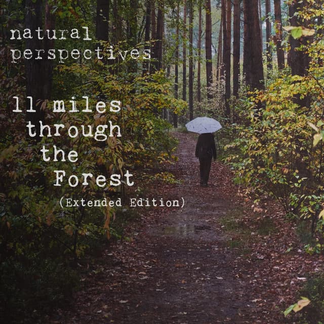 11 Miles Through the Forest - Natural Perspectives