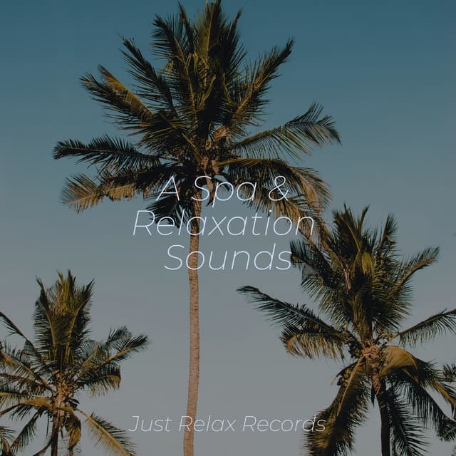 A Spa & Relaxation Sounds - Musica de Relajación Academy