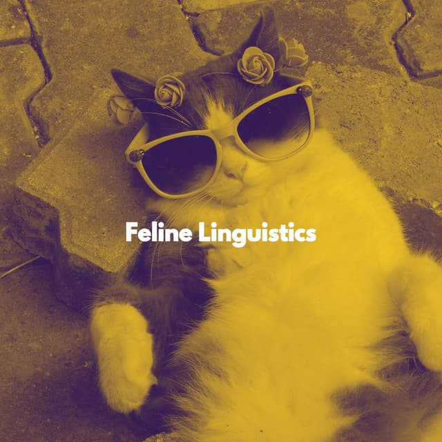 Feline Linguistics - Cat Total Relax