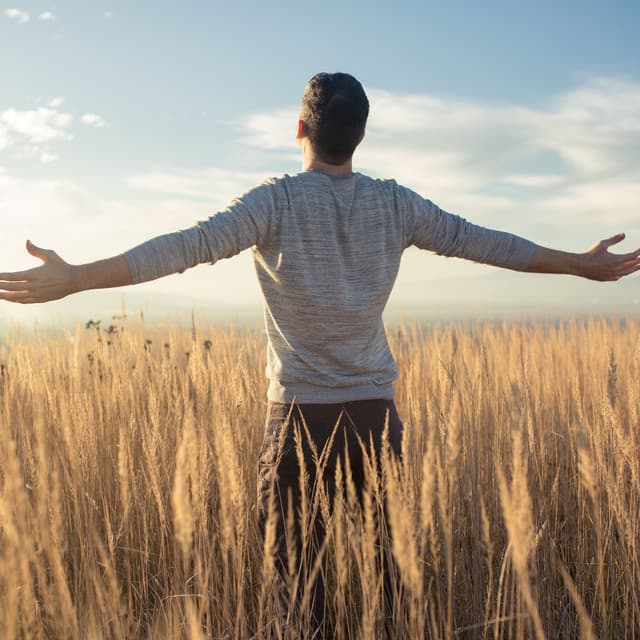 Transcendent Vibrations: Awakening the Soul with Binaural Sounds - Binaural Beats System