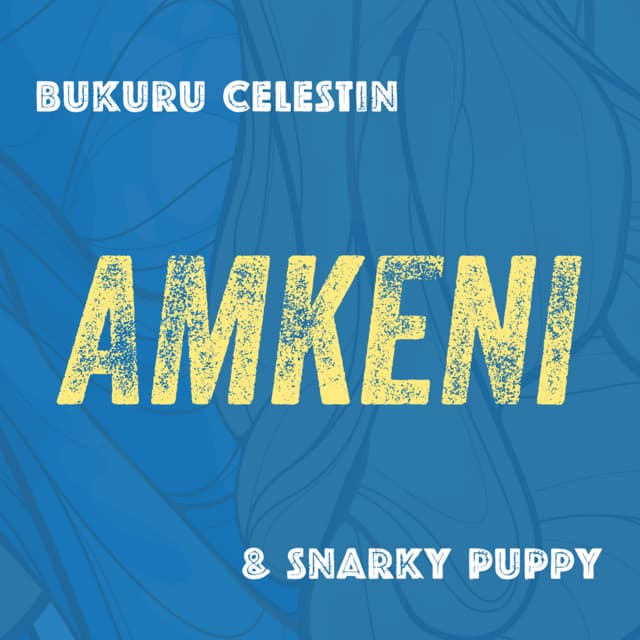 Amkeni - Snarky Puppy