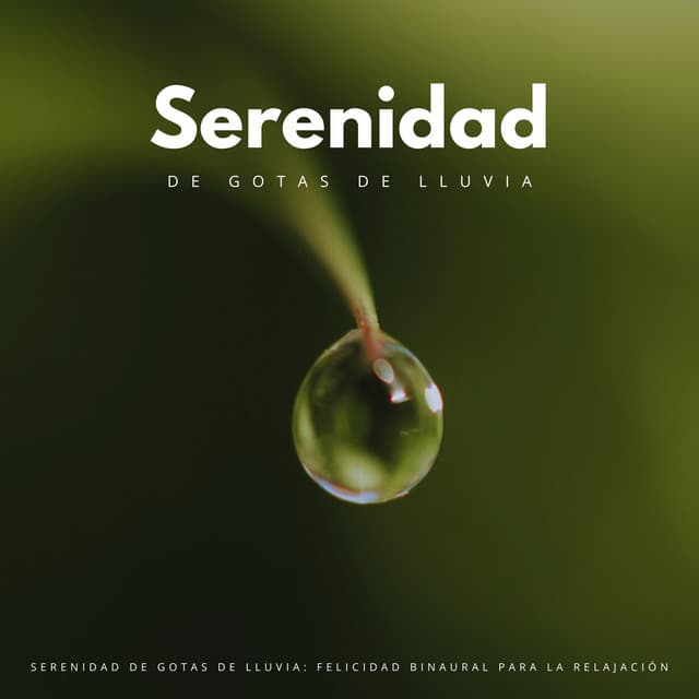 Serenidad De Gotas De Lluvia: Felicidad Binaural Para La Relajación - The Unexplainable Store