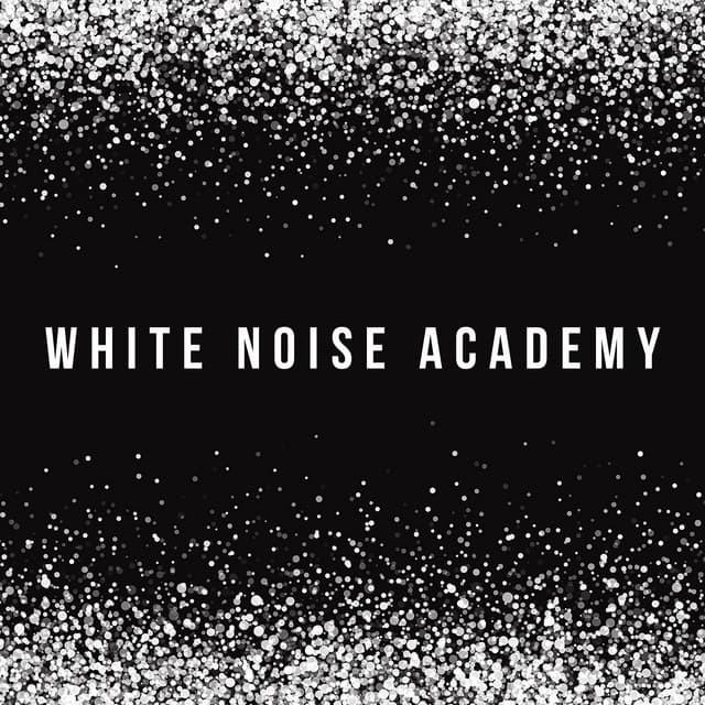 White Noise Academy - White Noise Collection