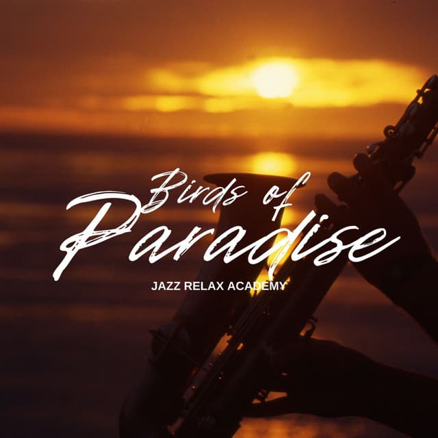 Birds of Paradise: Relaxing Jazz - Jazz Relax Academy