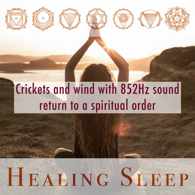 Crickets and wind with 852Hz sound return to a spiritual order - Healing Sleep