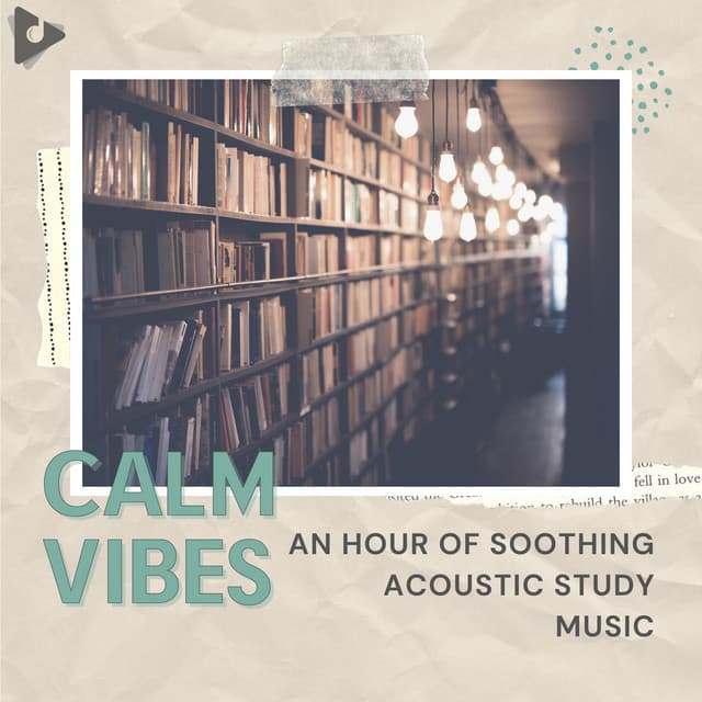 An Hour of Soothing Acoustic Study Music - Calm Vibes