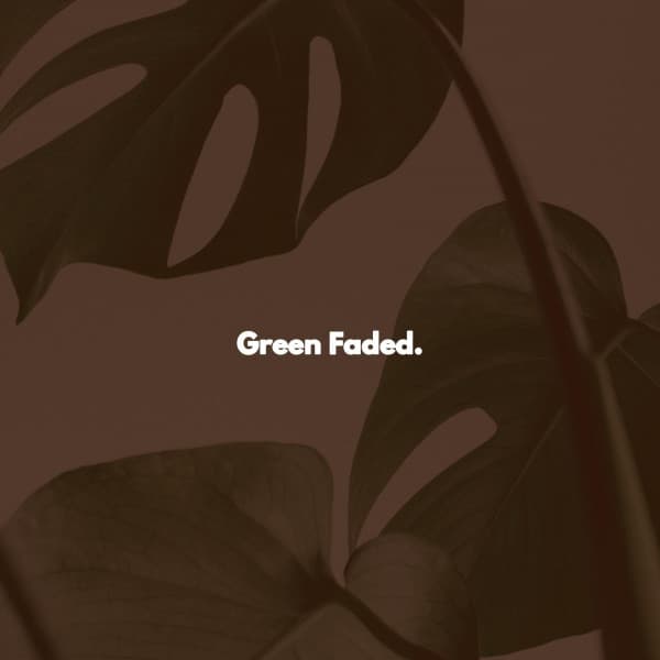Green Faded. - Vintage Cafe Classic