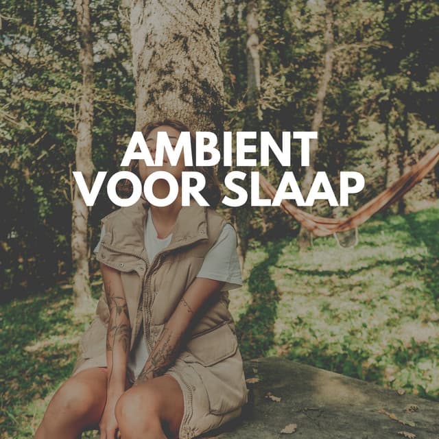 Ambient voor slaap - Slapen