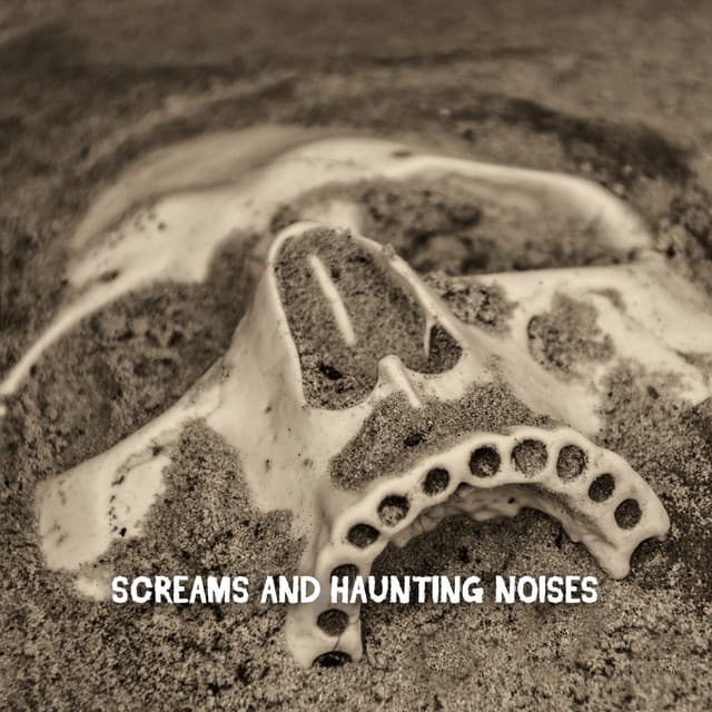 Screams And Haunting Noises - Spooky Halloween Sounds