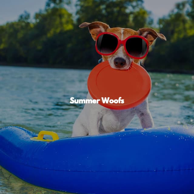 Summer Woofs - Reading Background Music Playlist