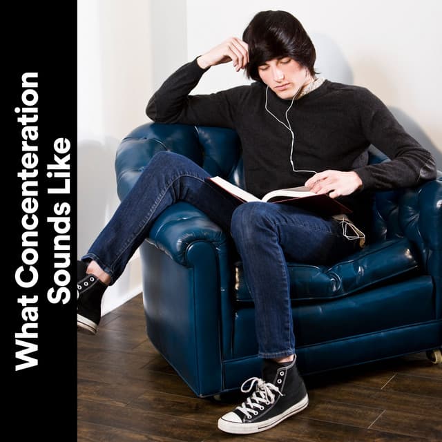 What Concenteration Sounds Like - Working Music Solitude