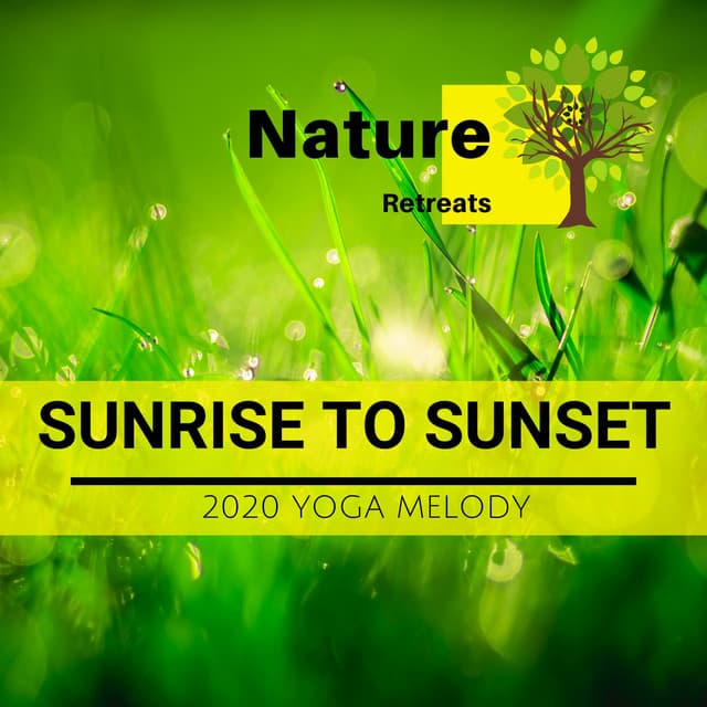 Sunrise to Sunset - 2020 Yoga Melody - Zen Healing Melodies