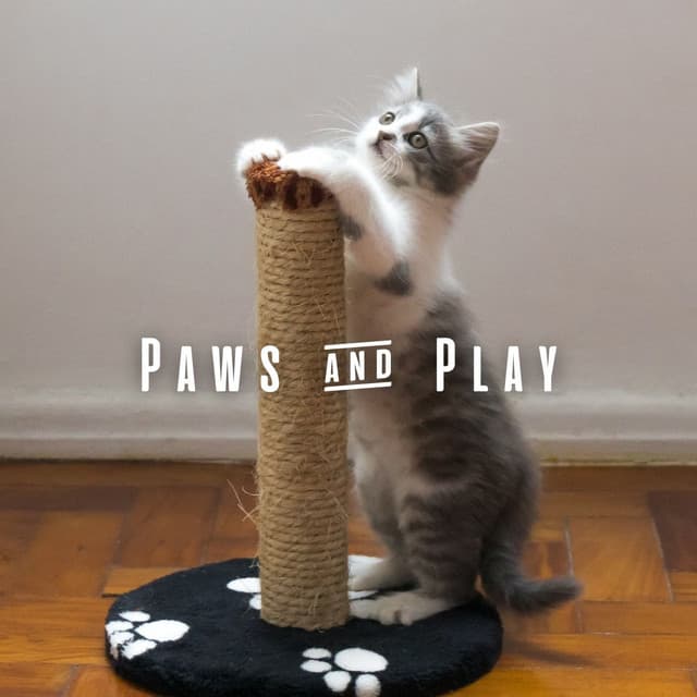 Paws & Play: Upbeat Lofi Tunes for Playful Cats - Lofi Brasil