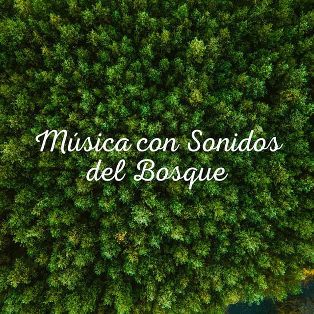 Música con Sonidos del Bosque - Sonidos De Pajaros