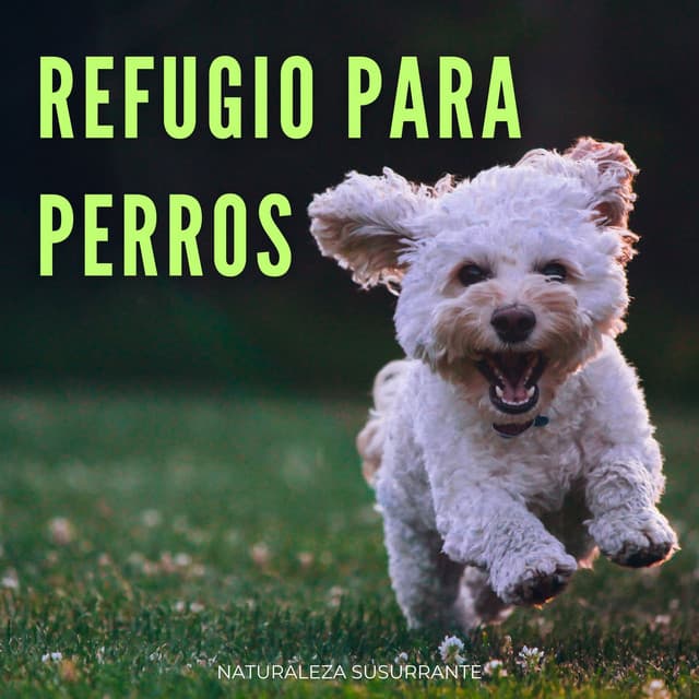 Refugio Para Perros: Naturaleza Susurrante - Hermosos sonidos de la naturaleza