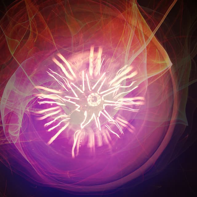 Abudance Magnetism & Fortune - Zena Stillnes