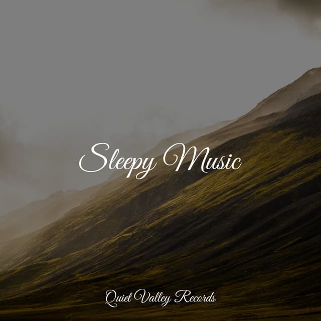 Sleepy Music - Natural Rain Sounds for Sleeping