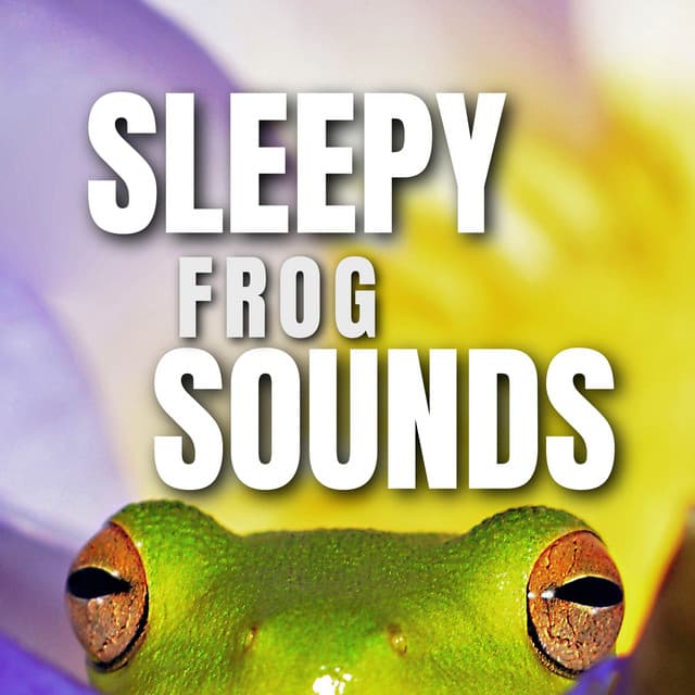Sleepy frog sounds - Frog Sounds