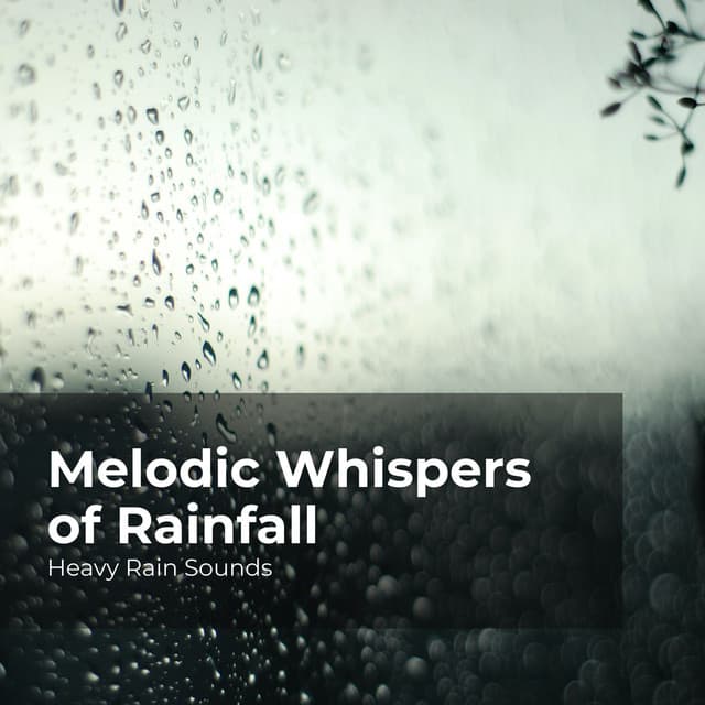 Melodic Whispers of Rainfall - Heavy Rain Sounds
