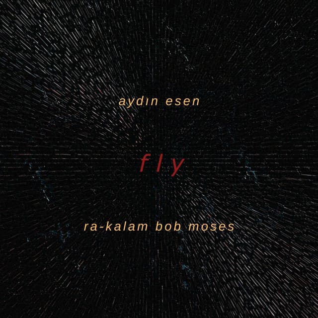 Fly - Aydın Esen