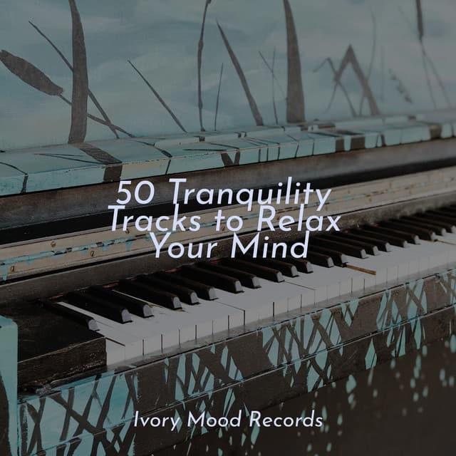 50 Tranquility Tracks to Relax Your Mind - Relaxing Mindfulness Meditation Relaxation Maestro