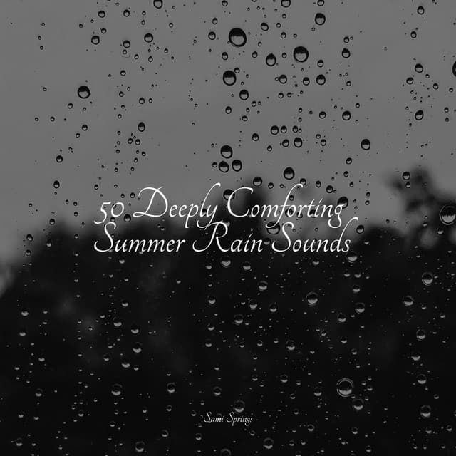 50 Deeply Comforting Summer Rain Sounds - It's Raining