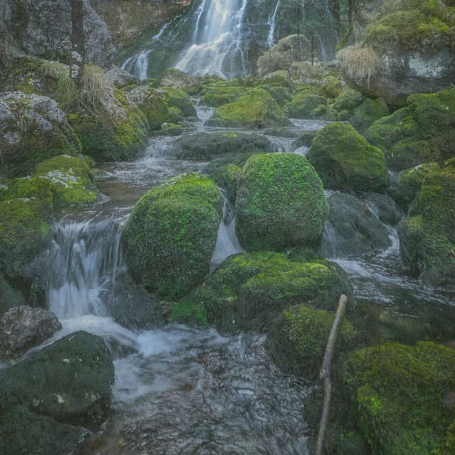 Classical Calmness - Johann Sebastian Bach