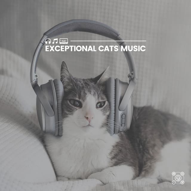 Exceptional Cats Music - Cats Music Zone