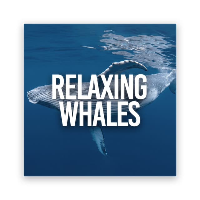 Relaxing Whales - Spa Music